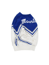 Load image into Gallery viewer, 70&#39;S &quot;VARSITY&quot; EMBROIDERED CHEERLEADER KNIT SWEATER
